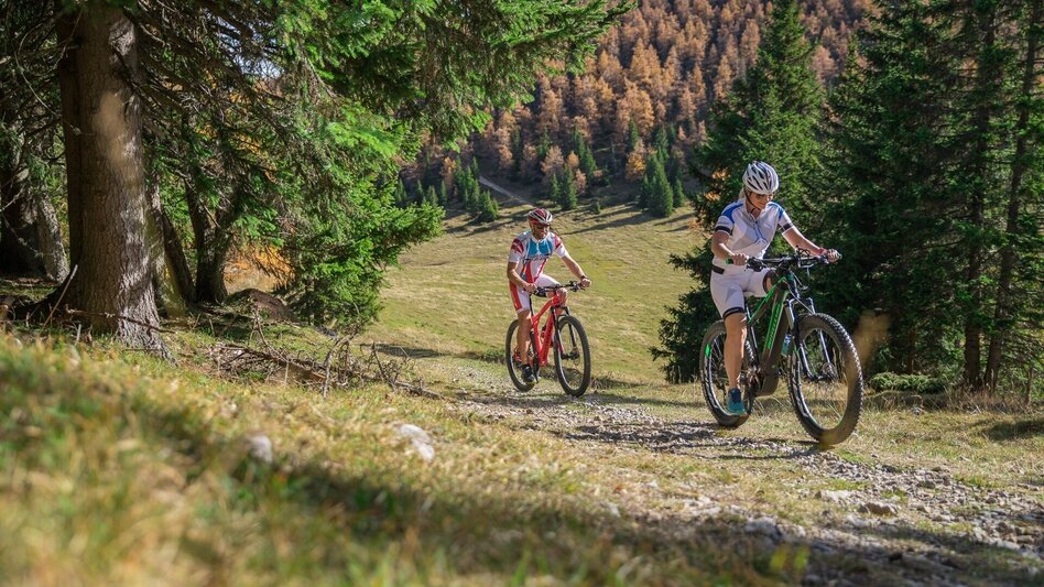 Mountainbike Mühlsteinboden-Tour - Touren-Impression #2.3 | © Tourismusverband Murau