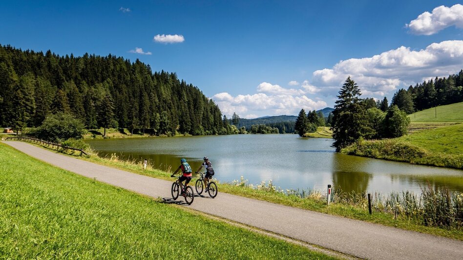 Mountain Biking Pond round - Touren-Impression #2.1 | © Tourismusverband Murau