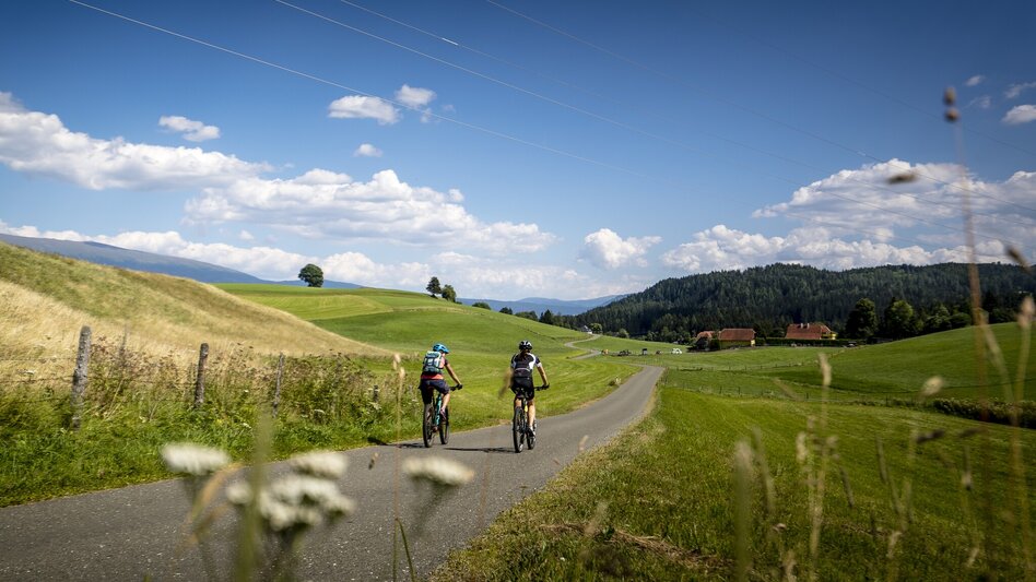 Mountain Biking Pond round - Touren-Impression #2.3 | © TVB Murau