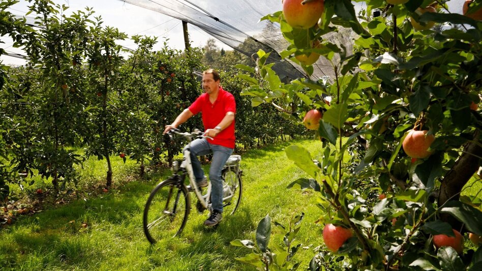 Bike Riding Weinland Steiermark Bike Tour - Eastern Styria Round - Touren-Impression #2.3 | © Oststeiermark Tourismus