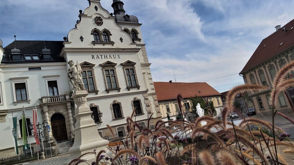 Bike Riding Weinland Steiermark Bike Tour - Eastern Styria Round - Touren-Impression #2.2 | © Oststeiermark Tourismus