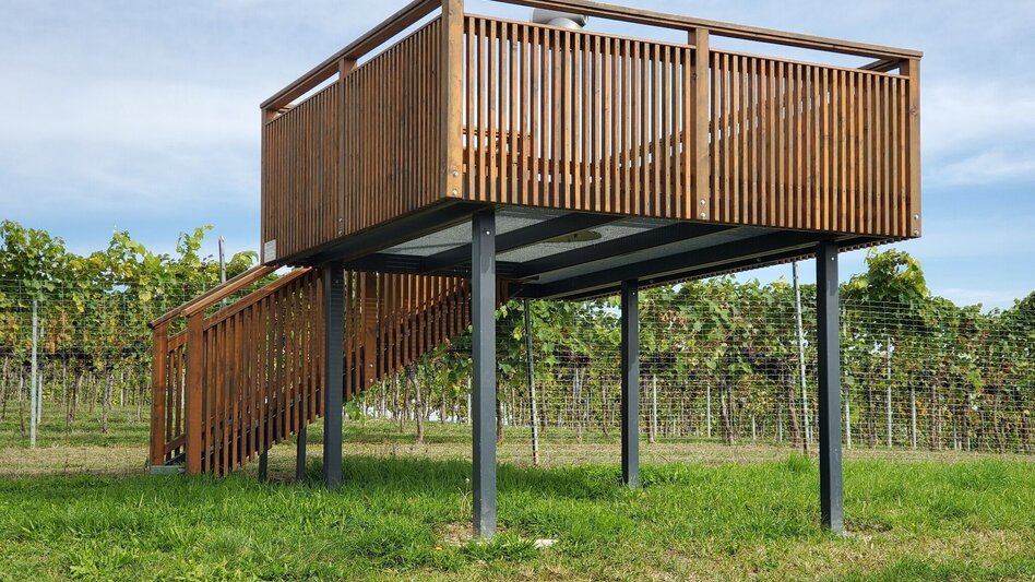 Wanderung Wein-Erlebnis-Weg Bad Loipersdorf - Touren-Impression #2.9 | © Thermen- & Vulkanland