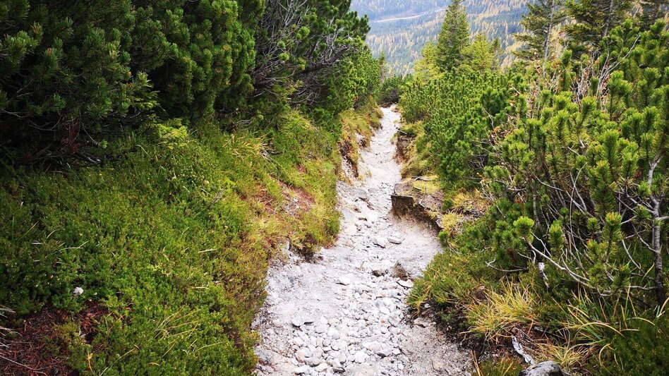 Via Ferrata Via the Raxenmäuersteig and Bismarcksteig to the Rax in the Mürzer Oberland Nature Park - Touren-Impression #2.3 | © TV Hochsteiermark