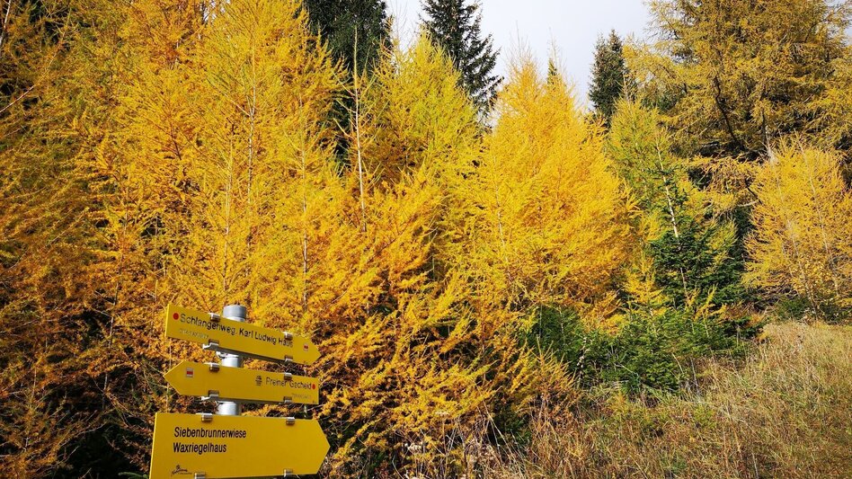 Via Ferrata Via the Raxenmäuersteig and Bismarcksteig to the Rax in the Mürzer Oberland Nature Park - Touren-Impression #2.4 | © TV Hochsteiermark