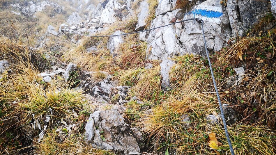 Via Ferrata Via the Raxenmäuersteig and Bismarcksteig to the Rax in the Mürzer Oberland Nature Park - Touren-Impression #2.5 | © TV Hochsteiermark