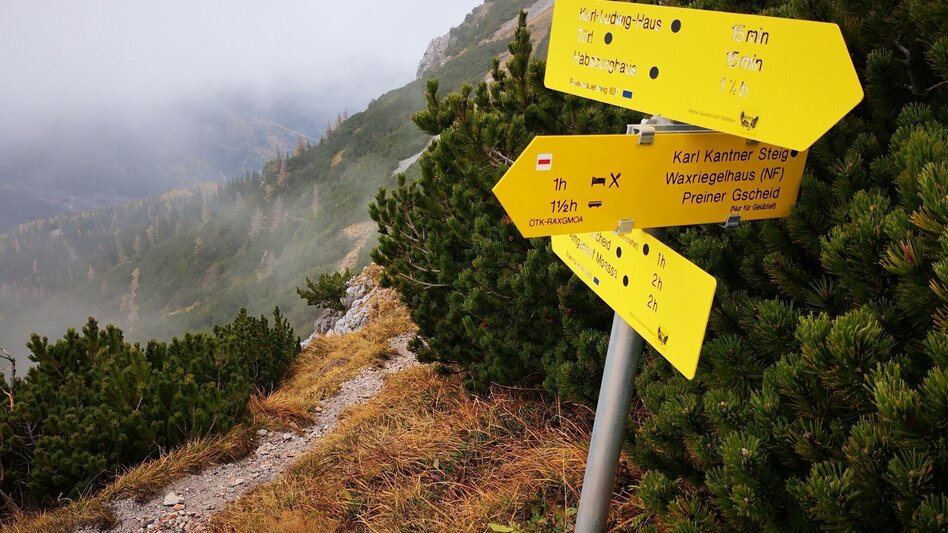 Via Ferrata Via the Raxenmäuersteig and Bismarcksteig to the Rax in the Mürzer Oberland Nature Park - Touren-Impression #2.7 | © TV Hochsteiermark