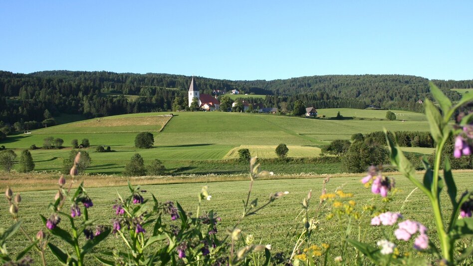Wanderung Von der "Alten Schmiede" zum Steinschloss - Touren-Impression #2.4 | © Tourismusverband Murau