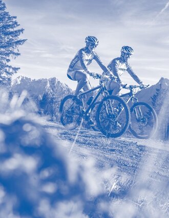 Nationalpark_Gesäuse_©StefanLeitner_053 | Tourismusverband Gesäuse | © TV Gesäuse