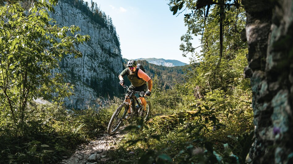 Mountain Biking Trans Nationalpark - Touren-Impression #2.3 | © TV Gesäuse