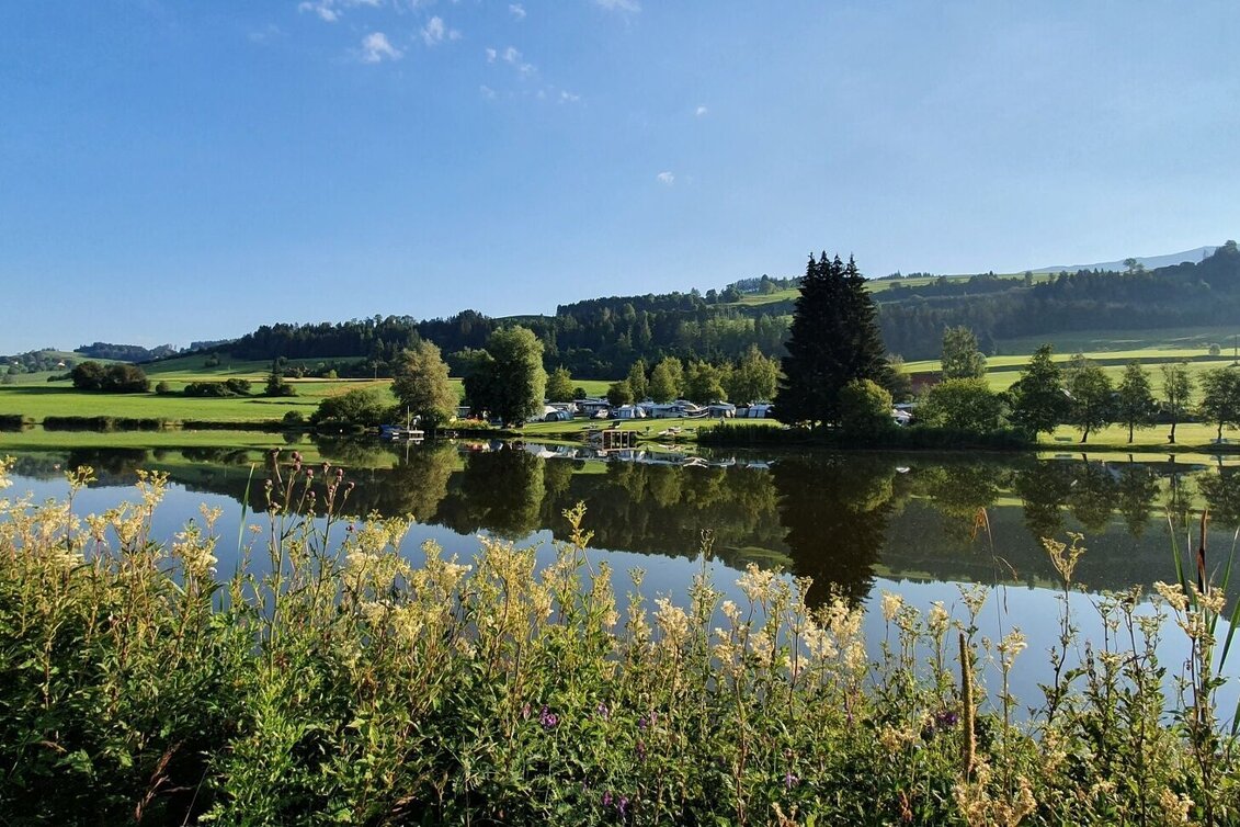 Hiking route Windberg circular - Touren-Impression #1 | © Tourismusverband Murau