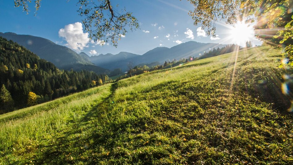 Wanderung Rohrmoosrunde - Touren-Impression #2.1 | © Gerhard Pilz - www.gpic.at