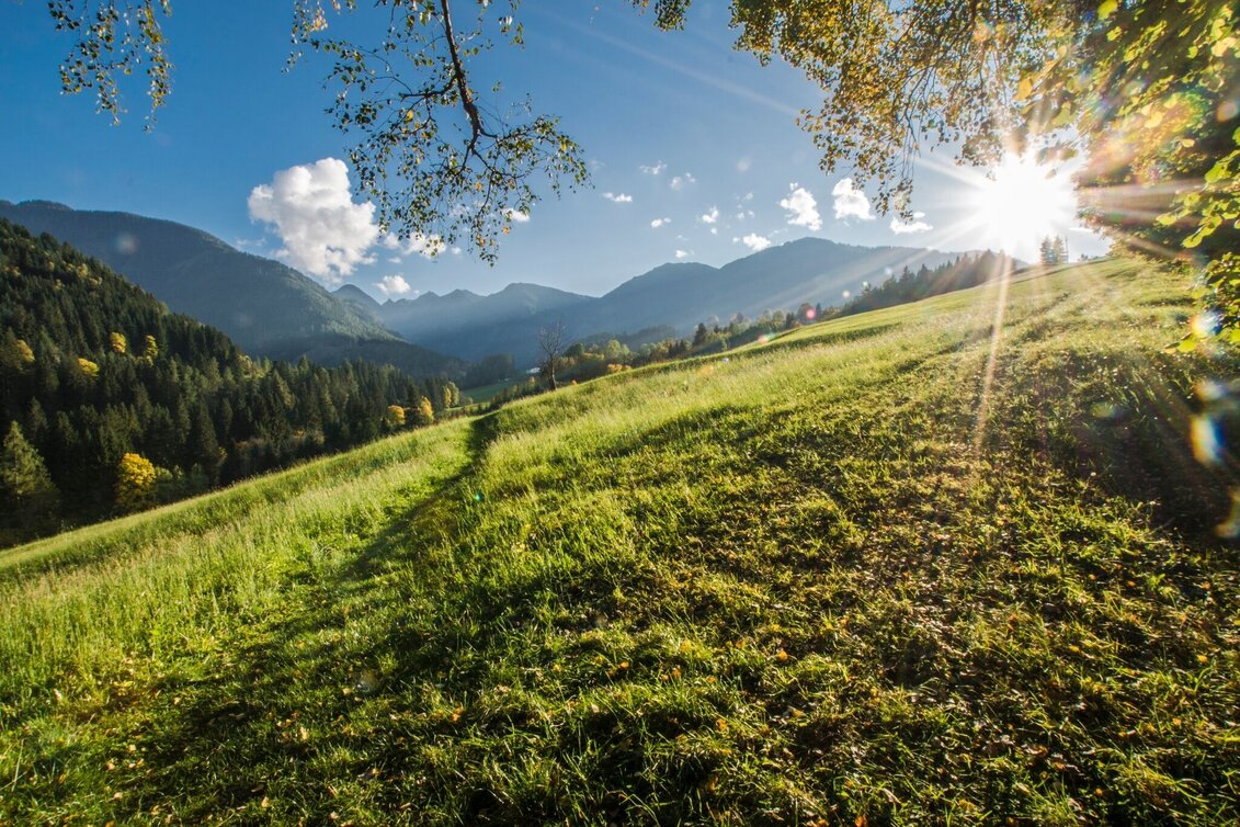 Wanderung Rohrmoosrunde - Touren-Impression #1 | © Gerhard Pilz - www.gpic.at