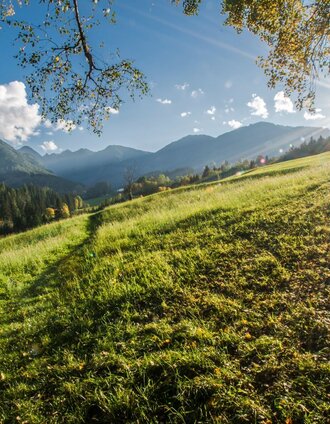 Sunny afternoon at Oberer Talbach Trail | Gerhard Pilz | © Gerhard Pilz - www.gpic.at