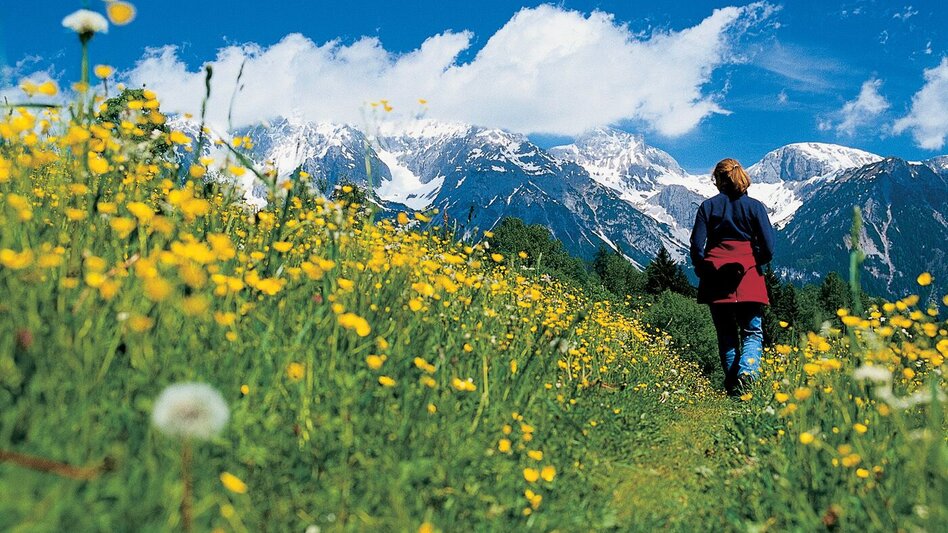 Hiking route On the tracks of miner's from the village Untertal to Obertal valley - Touren-Impression #2.1 | © Reinhard Lamm