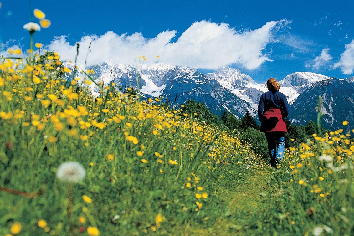 Hiking route On the tracks of miner's from the village Untertal to Obertal valley - Touren-Impression #1 | © Reinhard Lamm