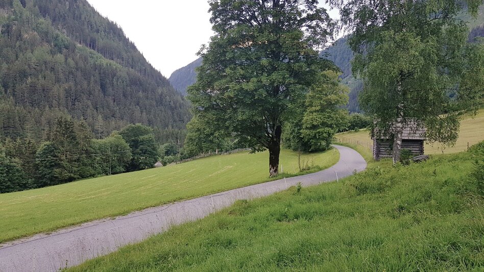 Hiking route On the tracks of miner's from the village Untertal to Obertal valley - Touren-Impression #2.6 | © Gerhard Pilz