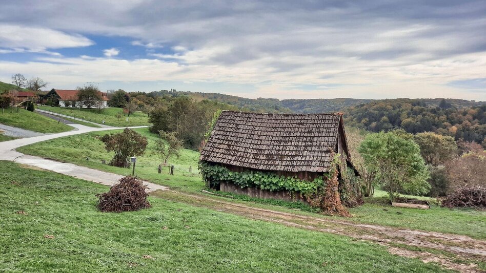Hiking route Stick & Stone (Stock & Stein) - short variant "Wine Experience Trail" - Touren-Impression #2.2 | © Thermen- & Vulkanland