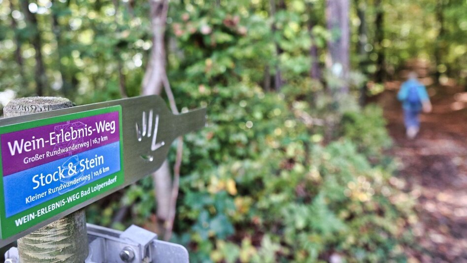 Hiking route Stick & Stone (Stock & Stein) - short variant "Wine Experience Trail" - Touren-Impression #2.5 | © Thermen- & Vulkanland