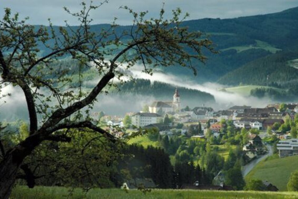 Hiking route Edlseer Hoamat hiking trail, Birkfeld - Touren-Impression #1 | © Oststeiermark Tourismus