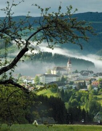 Blick über Birkfeld | Edl-Event GmbH | © Oststeiermark Tourismus