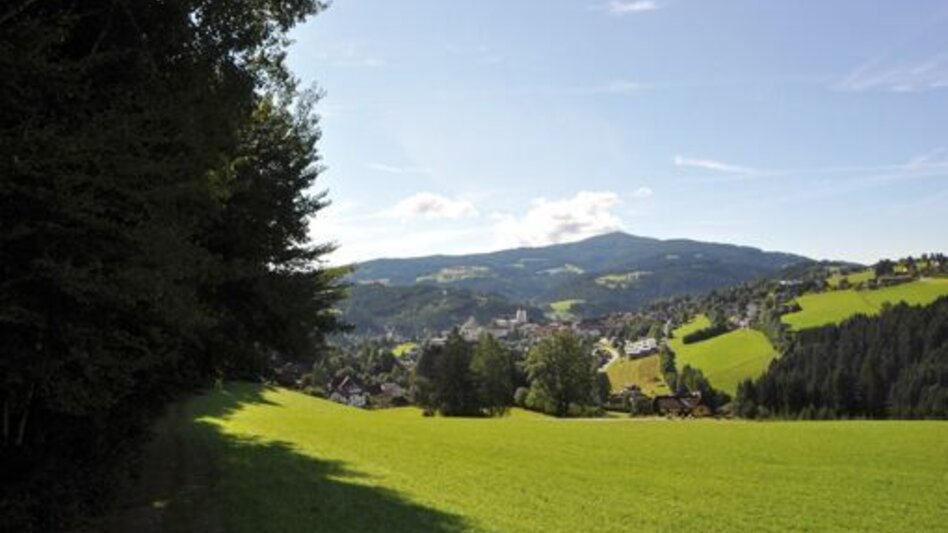 Hiking route Edlseer Hoamat hiking trail, Birkfeld - Touren-Impression #2.2 | © Edl-Event GmbH