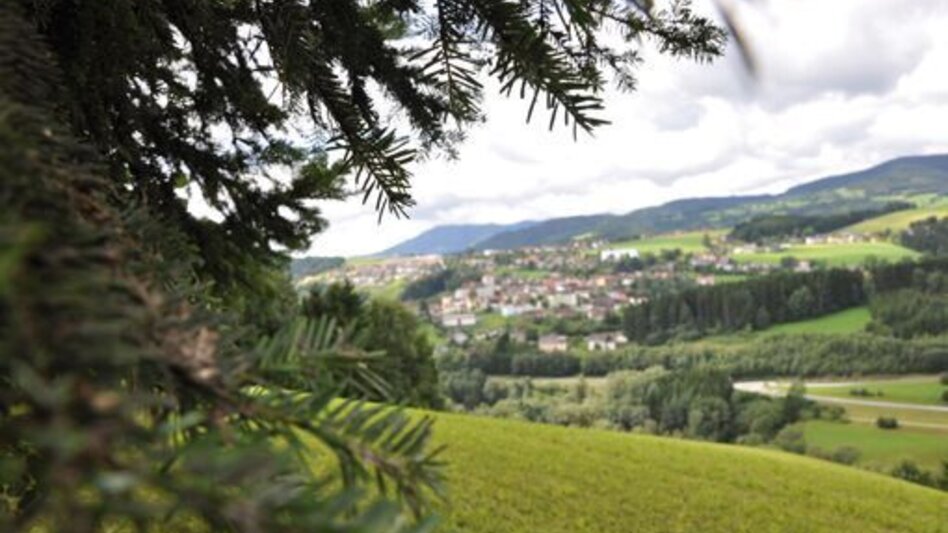 Hiking route Edlseer Hoamat hiking trail, Birkfeld - Touren-Impression #2.4 | © Edl-Event GmbH