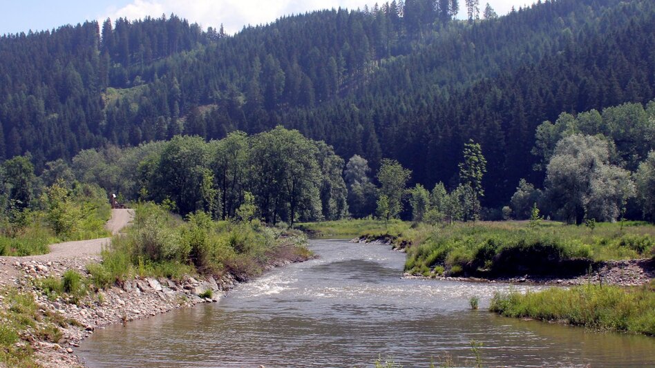 Regional hiking trail Lässer Au Knittelfeld - Touren-Impression #2.1 | © Erlebnisregion Murtal