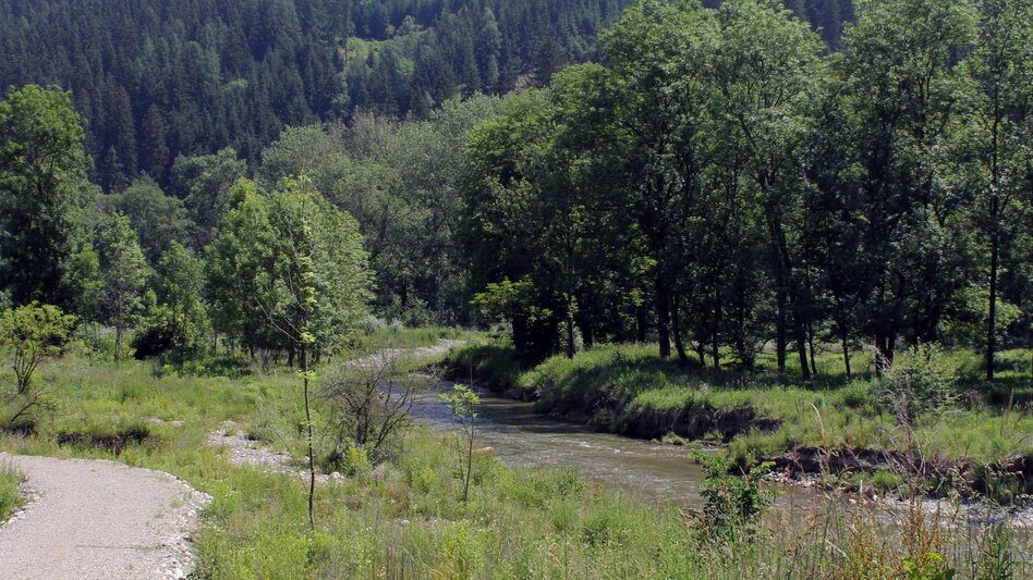 Regional hiking trail Lässer Au Knittelfeld - Touren-Impression #2.2 | © Erlebnisregion Murtal