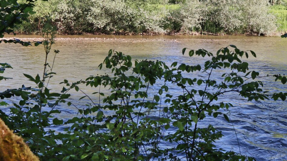 Regional hiking trail Lässer Au Knittelfeld - Touren-Impression #2.3 | © Weges OG