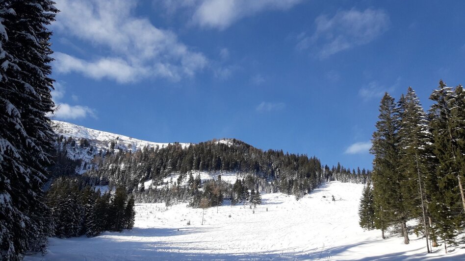 Ski Touring Kreuzkarschneid, little pearl in the Triebental - Touren-Impression #2.5 | © Erlebnisregion Murtal