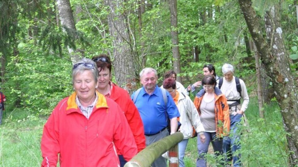 Wanderung Wanderung Edenberg - Touren-Impression #2.1 | © Marktgemeinde Mooskirchen
