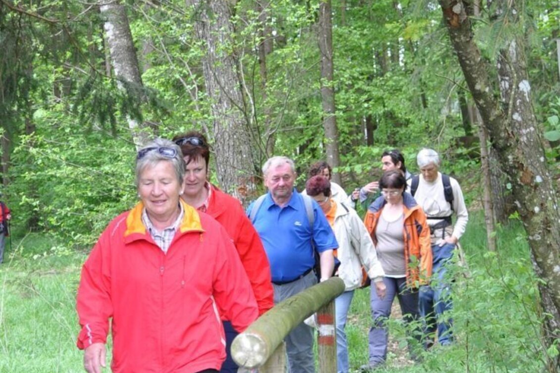 Wanderung Wanderung Edenberg - Touren-Impression #1 | © Marktgemeinde Mooskirchen