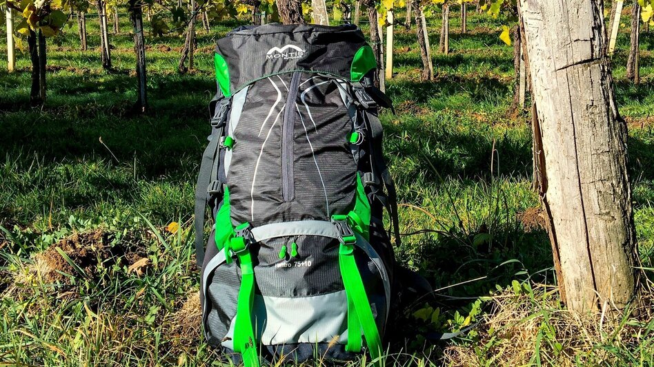 Wanderung Wanderung Edenberg - Touren-Impression #2.2 | © Steirische Tourismus GmbH; 