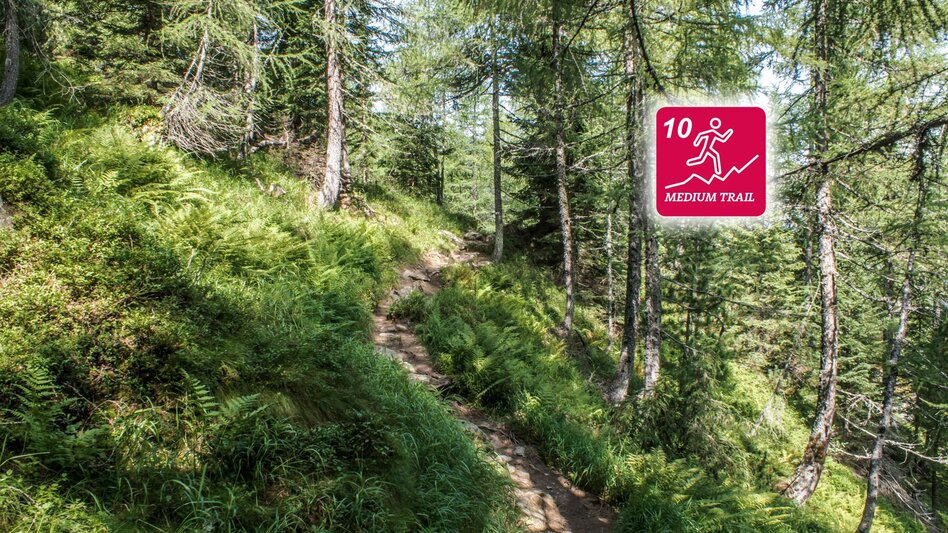 Trailrunning Neualm Trail - Touren-Impression #2.8 | © Erlebnisregion Schladming-Dachstein