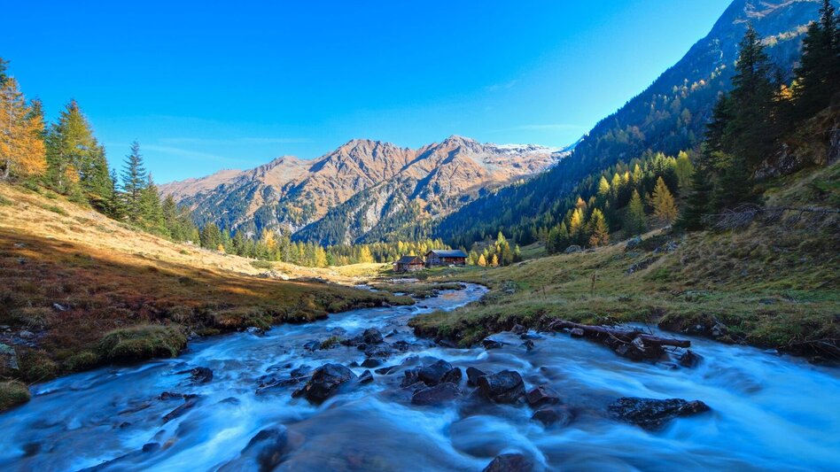 Trailrunning Neualm Trail - Touren-Impression #2.4 | © Erlebnisregion Schladming-Dachstein