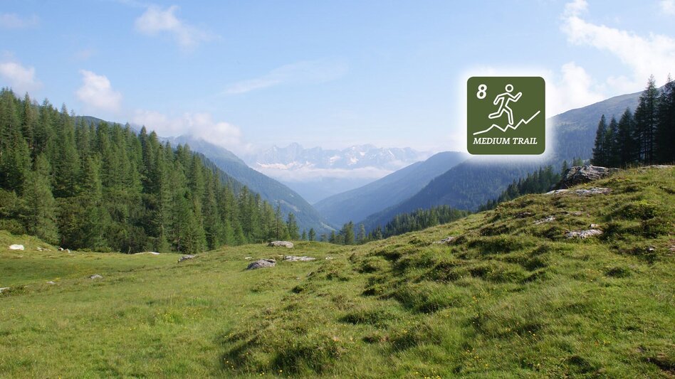 Trailrunning Laubschachen Trail - Touren-Impression #2.13 | © Erlebnisregion Schladming-Dachstein