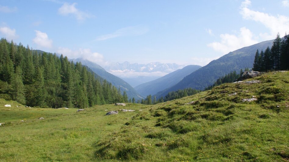 Trailrunning Laubschachen Trail - Touren-Impression #2.3 | © Gerhard Pilz