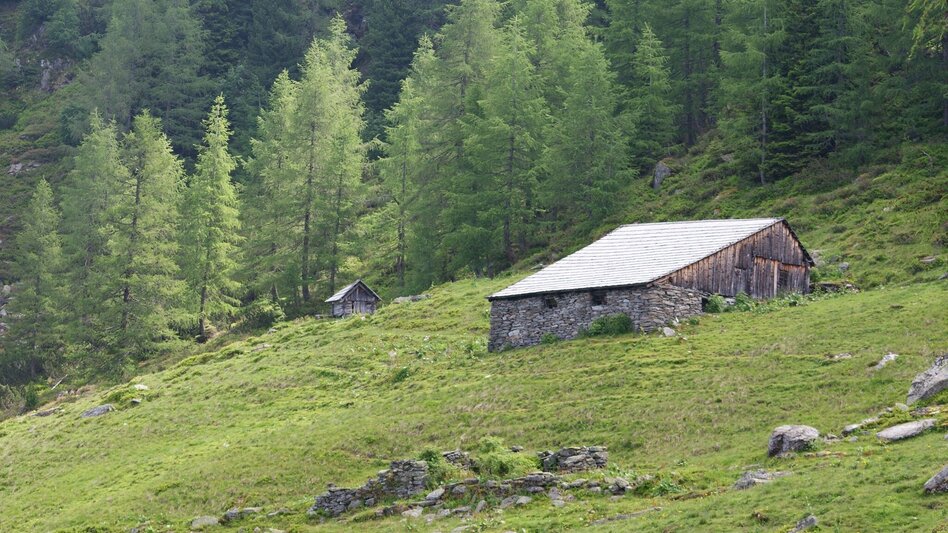 Trailrunning Laubschachen Trail - Touren-Impression #2.5 | © Gerhard Pilz