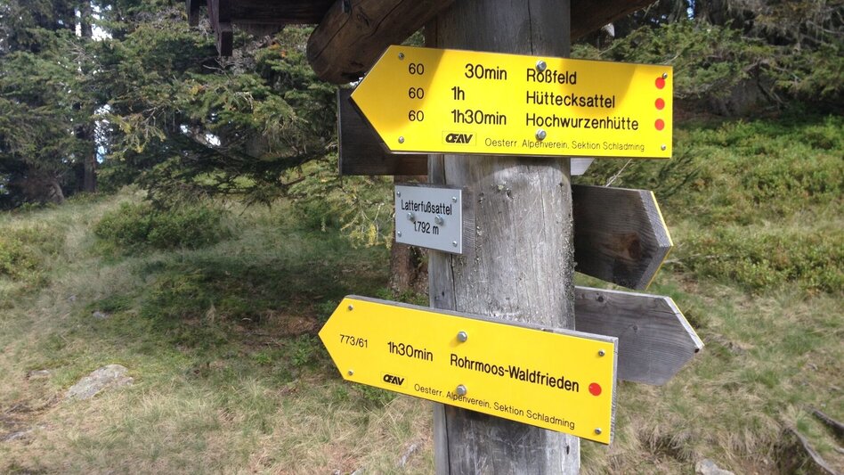 Trailrunning Laubschachen Trail - Touren-Impression #2.6 | © Gerhard Pilz