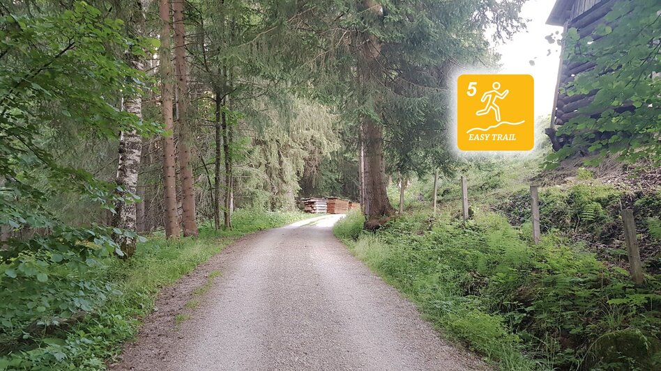 Trail Running Rohrmoos Run - Touren-Impression #2.9 | © Erlebnisregion Schladming-Dachstein