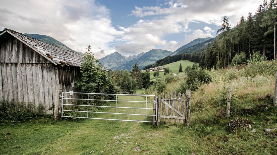 Trail Running Rohrmoos Run - Touren-Impression #2.1 | © Tourismusverband Schladming
