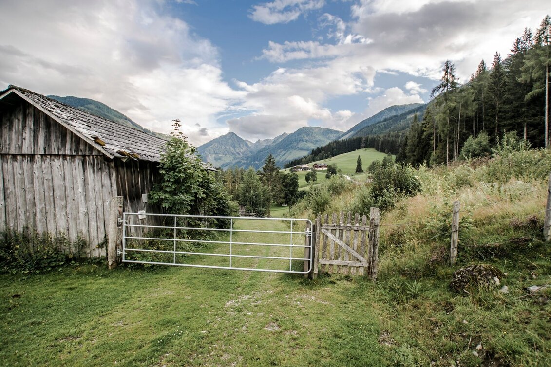 Trail Running Rohrmoos Run - Touren-Impression #1 | © Tourismusverband Schladming