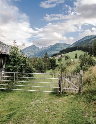 From "Rohrmooser Frei" meadow towards Obertal | Gerhard Pilz | © Tourismusverband Schladming