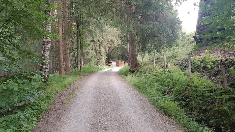 Trail Running Rohrmoos Run - Touren-Impression #2.2 | © Gerhard Pilz