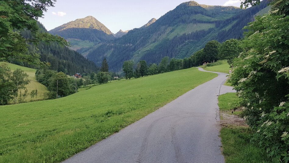 Trail Running Rohrmoos Run - Touren-Impression #2.5 | © Gerhard Pilz