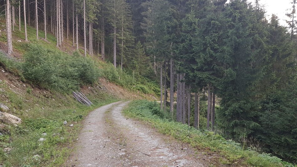 Trail Running Rohrmoos Run - Touren-Impression #2.6 | © Gerhard Pilz