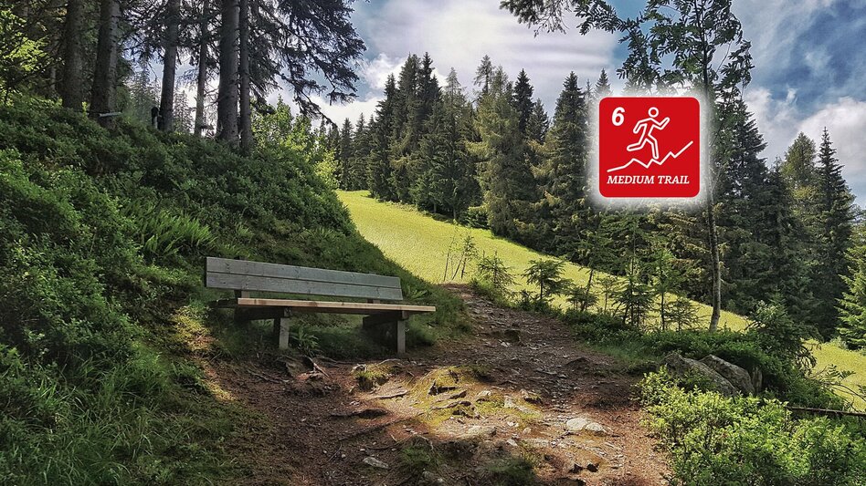 Trail Running Hochwurzen Trail - Touren-Impression #2.16 | © Erlebnisregion Schladming-Dachstein