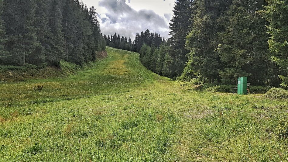Trail Running Hochwurzen Trail - Touren-Impression #2.5 | © Gerhard Pilz
