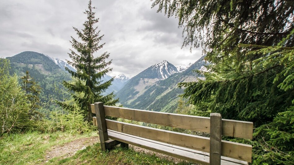 Trail Running Hochwurzen Trail - Touren-Impression #2.14 | © Gerhard Pilz