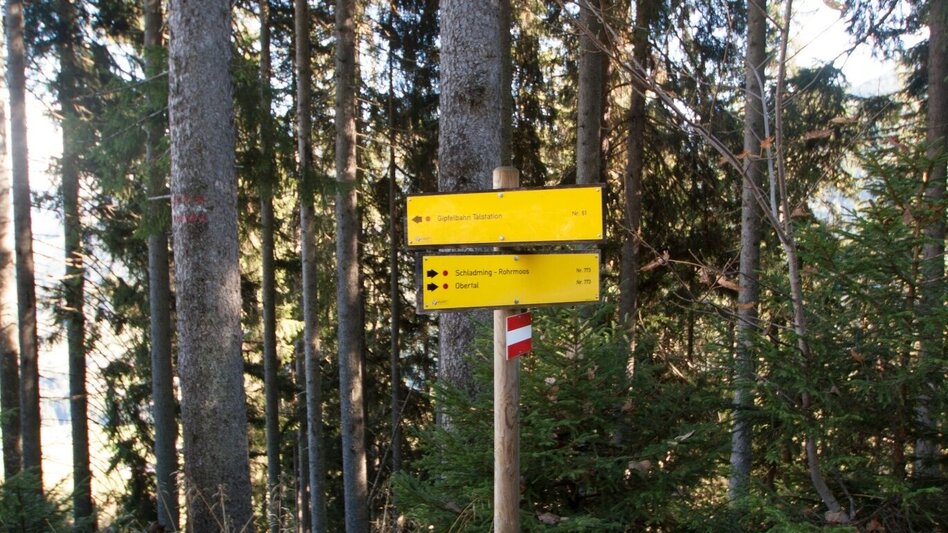 Trail Running Hochwurzen Trail - Touren-Impression #2.15 | © Gerhard Pilz
